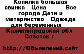 Копилка большая свинка › Цена ­ 300 - Все города Дети и материнство » Одежда для беременных   . Калининградская обл.,Советск г.